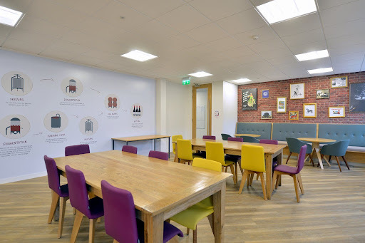 Wooden office tables with purple and yellow chairs