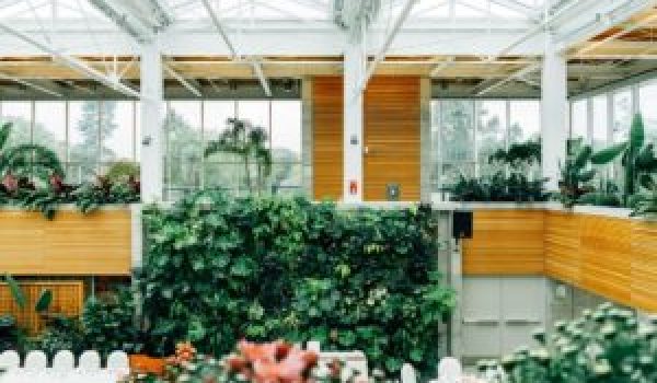 Biophilic office space with plant features on walls